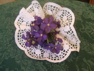 violets-3