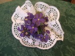 violets-3
